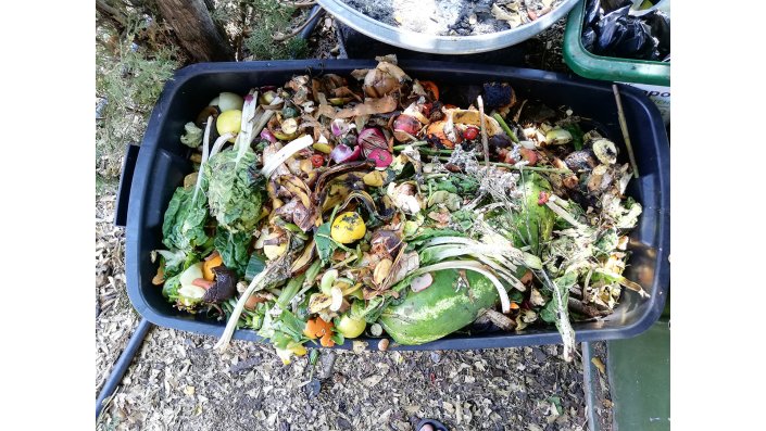 Organic Kitchen Waste Collected