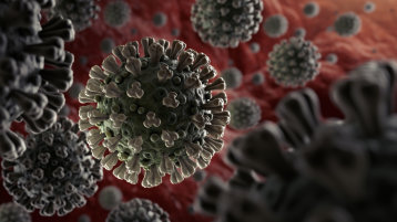 Mikroskopische Illustration des Corona-Virus (Bild: fpm/istock.com)