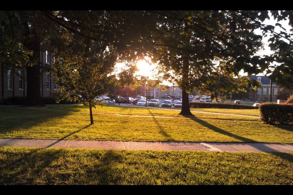 Wiese mit Bäumen, dahinter Unigebäude bei tiefstehender Sonne fotografiert