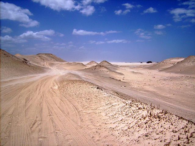 In der Wüste bei Jericoacoara (Bild: Tomasz Karbowski)