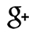Google+ Icon