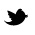 Twitter Icon