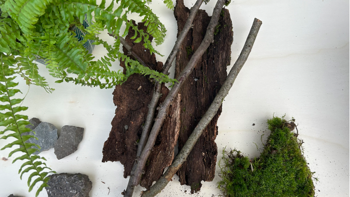 Holz- und Pflanzenstücke