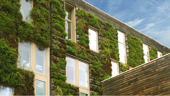 begrünte Hausfassade