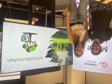 SchutzBäumchen unterstützt Kommunen bei der Baumpflege