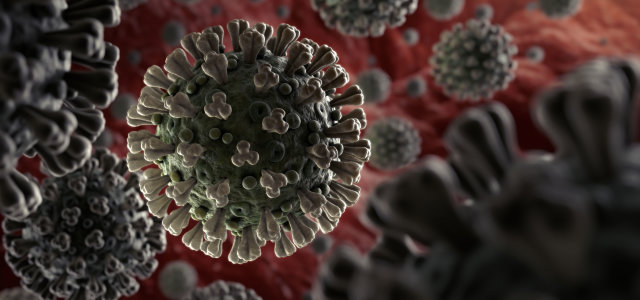 Mikroskopische Illustration des Corona-Virus (Bild:fpm/istock.com)