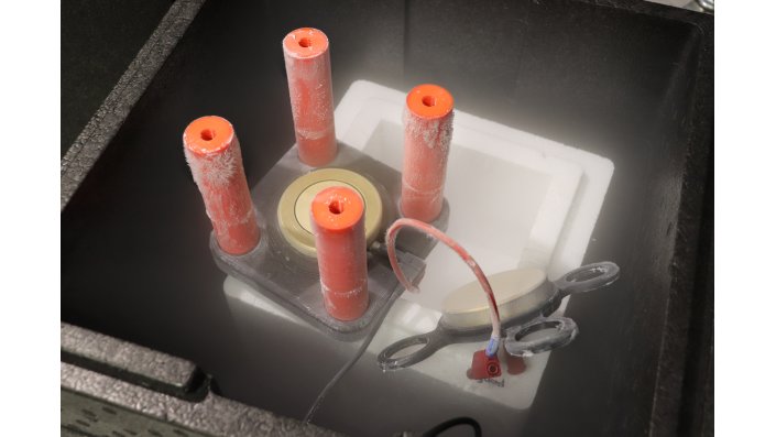 Aufbau in Styroporbox 
