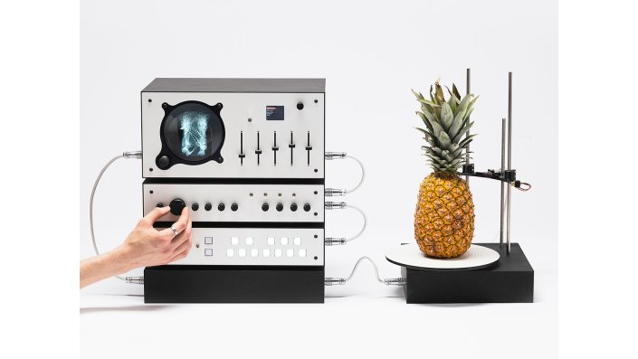 Der experimentelle Sythesizer in Silber von Julis Walsch ist an eine Ananas angeschlossen.