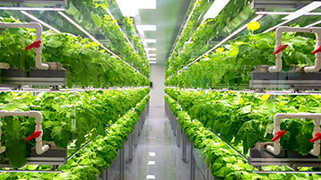 Vertical Indoor-Farming (Symbolbild)  (Bild: Bild: Yein Jeon/Wirestock - stock.adobe.com)