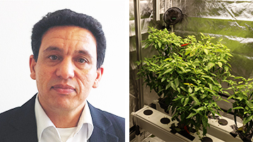 Prof. Dr. Mohieddine Jelali vom Institut für Produktentwicklung und Konstruktionstechnik beschäftigt sich in seinem neuen Forschungsschwerpunkt mit Vertical Indoor-Farming (Bild: privat)