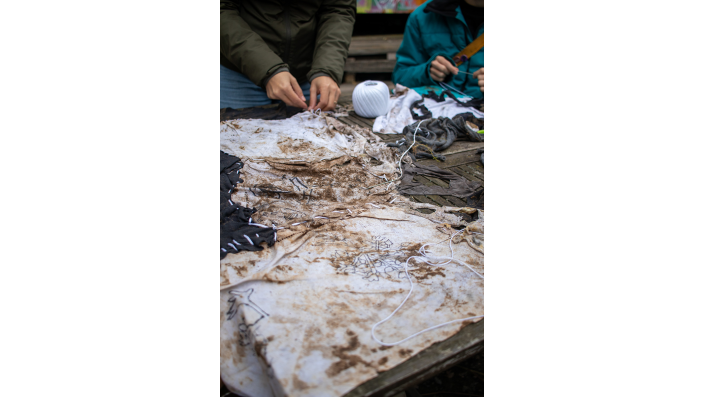 Auszug aus der Arbeit von  Lucy Allen.