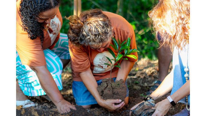 Die Veranstaltung endete mit der symbolischen Pflanzung eines Setzlings der Baumart Eugenia guapiassuana.