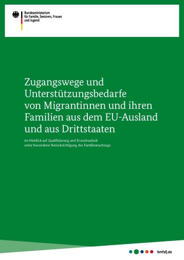 Zugangswege und Unterstützungsbedarfe von Migrantinnen und ihren Familien aus dem EU-Ausland und aus Drittstaaten