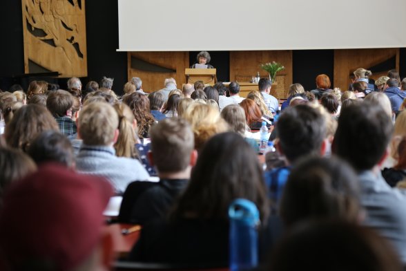 Prof. Dr. Silvia Staub-Bernasconi beim Fachtag Einzelfallhilfe