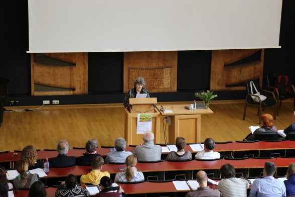 Prof. Dr. Silvia Staub-Bernasconi beim Fachtag Einzelfallhilfe