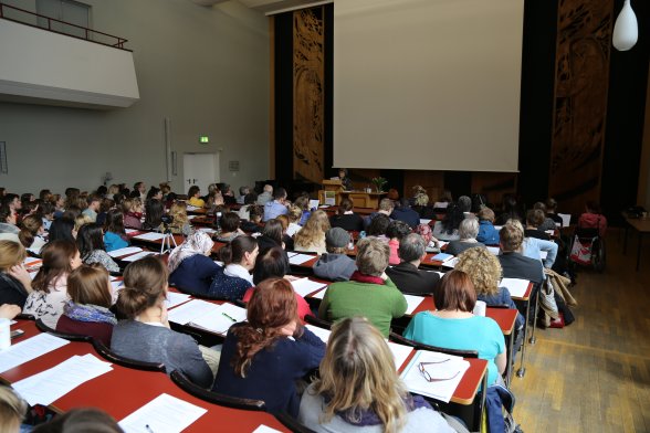 Auditorium Fachtag Einzelfallhilfe