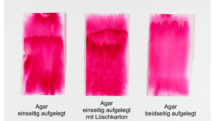 f02_cics_sgb_ma_prothmann_3
