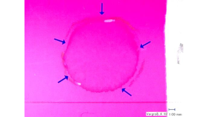 f02_cics_sgb_ma_meisen_5