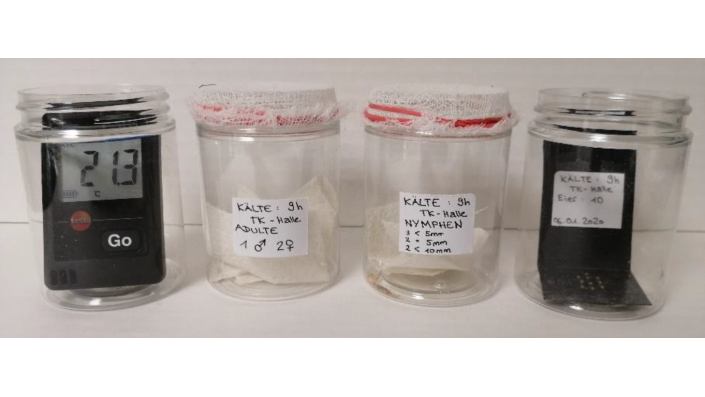 f02_cics_sgb_ma_wagner_2