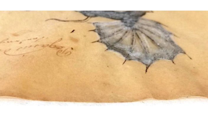 f02_cics_sgb_ma_linden_5