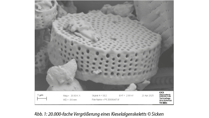 f02_cics_sgb_ba25_vonk