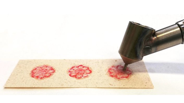 f02_cics_sgb_ma_linden_3