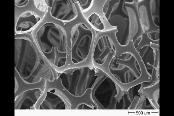 Im Rasterelektronenmikroskop wird ästhetische Struktur eines Spülschwamms erkennbar. 