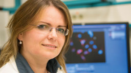 Prof. Dr. Nicole Teusch Prof. Dr. Nicole Teusch