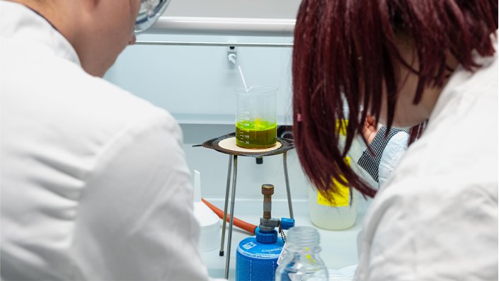 Zwei Schülerinnen stehen vor einem Abzug und untersuchen eine dunkelgrüne Lösung im Prozellanbehälter.