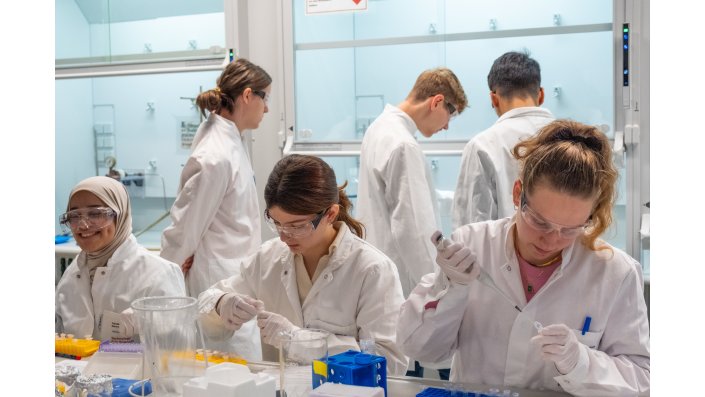 Fünf Nachwuchswissenschaftler*innen arbeiten im Labor und pipettieren, füllen ab und stehen am Abzug.