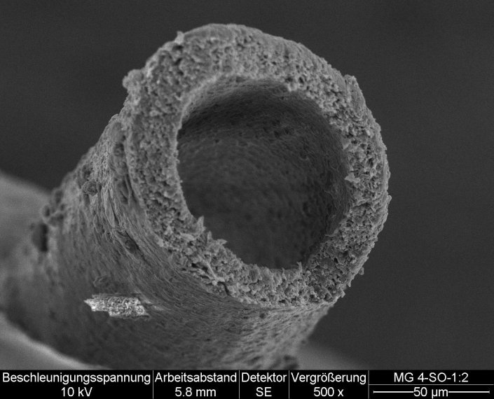 Rasterelektronenmikroskop-Aufnahme der MemO2 Faser