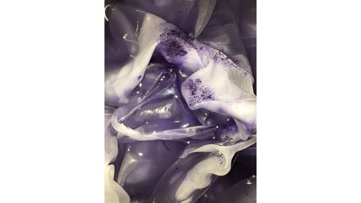 Ein Stück Stoff wird mit mit violetten Farbpigmenten gefärbt.