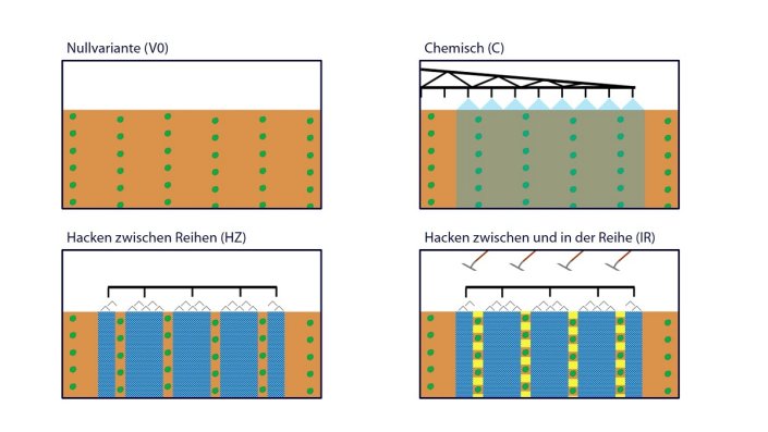 schematische Darstellung unterschiedlicher Unkrautbekämpfungsmethoden