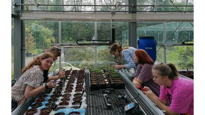 Studierende aus den Fachbereichen Biologie und Ingenieurwissenschaften arbeiten mit Pflanzen, um die Auswirkungen des Klimawandels auf deren Wachstum und Artenvielfalt im Boden zu erfahren.