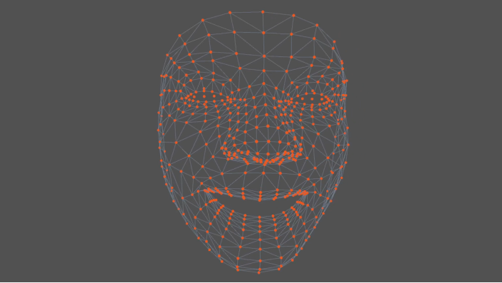 digitales Drahtgitter eines Gesichts