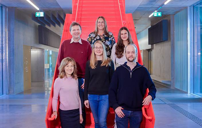 Projektteam: Unten von links nach rechts: Prof. Dr. Viktoriia Wagner, Carolin Ganas und Frerik Jumpertz. Oben von links nach rechts: Prof. Dr. Ulrich Schörken, Prof. Dr. Birgit Glüsen und Edda John