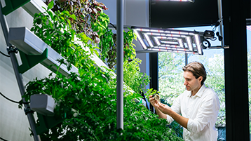 GreenFarmTEC (Bild: Costa Belibasakis / TH Köln)