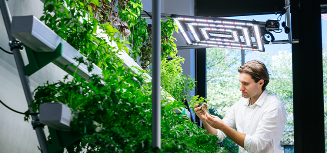GreenFarmTEC (Bild:Costa Belibasakis / TH Köln)