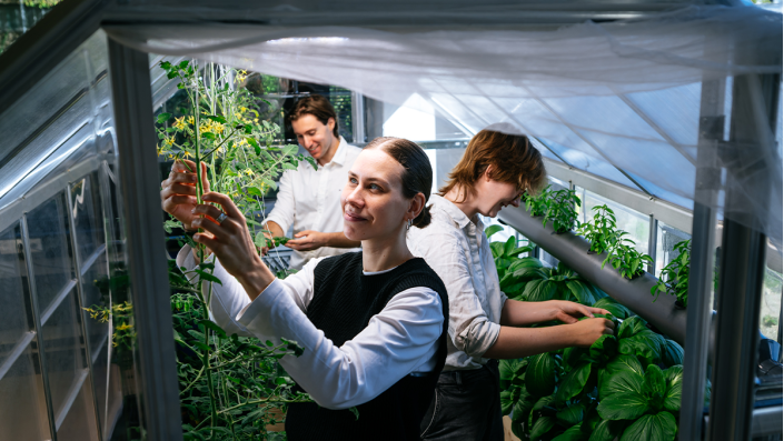 GreenFarmTEC