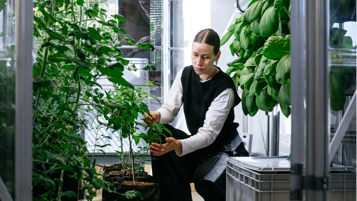GreenFarmTEC