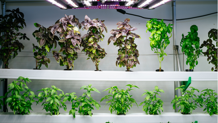 GreenFarmTEC
