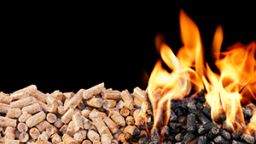Brennende Holzpellets (Bild: istock) Brennende Holzpellets (Bild: istock)