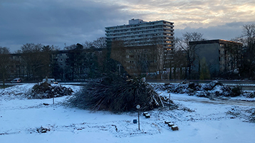 Die Baumfällungen am Baufeld E wurden im Januar 2026 abgeschlossen (Bild: TH Köln)