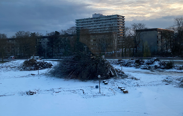 Die Baumfällungen am Baufeld E wurden im Januar 2026 abgeschlossen