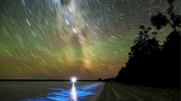 Biolumineszenz ist die Lichterzeugung durch eine chemische Reaktion in einem lebenden Organismus, hier am Gippsland Lake in Australien. (Bild: Phil Hart) Biolumineszenz ist die Lichterzeugung durch eine chemische Reaktion in einem lebenden Organismus, hier am Gippsland Lake in Australien. (Bild: Phil Hart)