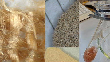 Samples prepared at ETH 14C laboratory and an example of calibrated radiocarbon age of Violin (Bild: Hajdas, ETHZ) Samples prepared at ETH 14C laboratory and an example of calibrated radiocarbon age of Violin (Bild: Hajdas, ETHZ)