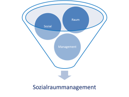 Logik des Forschungsschwerpunktes SRM: Integration von drei Perspektiven zu einem Handlungszusammenhang 