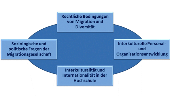 Themenfelder des Instituts INTERKULT Themenfelder des Instituts INTERKULT