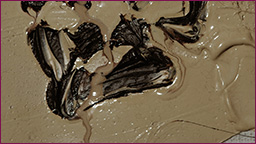 Jonathan Meese, Kleiner Hund (2005) Jonathan Meese, Kleiner Hund (2005)