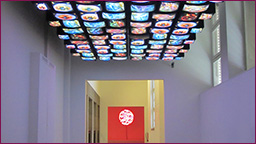 Fish Flies on Sky im 1. OG des Museum Kunstpalast Fish Flies on Sky im 1. OG des Museum Kunstpalast